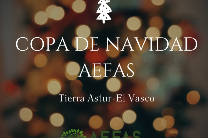 COPA DE NAVIDAD AEFAS (1)